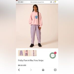 The Sunday Collective Friday Pant in Blue Note Stripe l Flawed